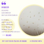 에스뷰티