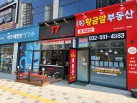 황금알부동산중개법인