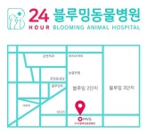 24시블루밍동물병원