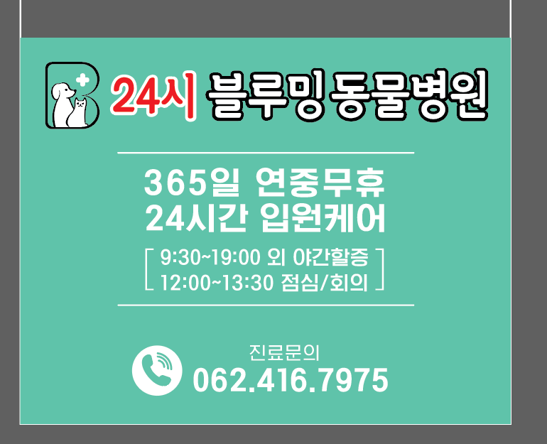 24시블루밍동물병원