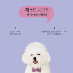 개스트 펫살롱