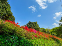 몬댕이민박계곡펜션 구례