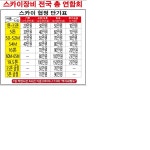 스카이차
