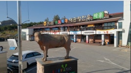 축협대관령한우타운