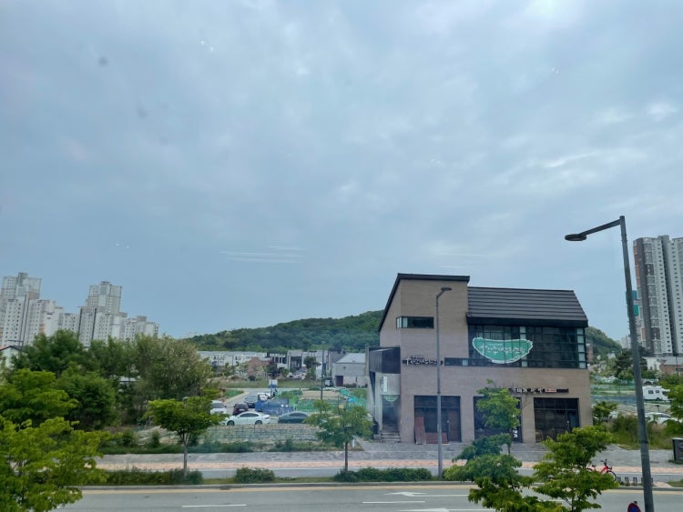세종새누리교회 사진 3