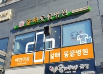 갈매동물병원