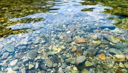 하옥계곡별빛민박