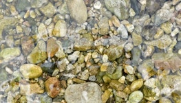 하옥계곡별빛민박