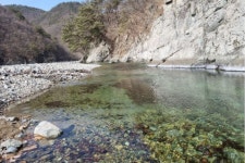 하옥계곡별빛민박