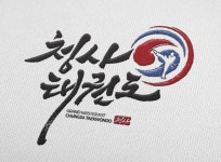 한양대청사태권도