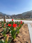 신원사선다원 | 차향다원