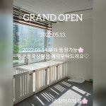 내 강아지의 봄 일산애견유치원&애견호텔
