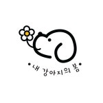 내 강아지의 봄 일산애견유치원&애견호텔