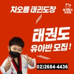차오름태권도장