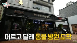 세계로동물의료센터