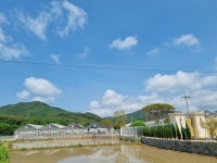 농업회사법인모도리파머스