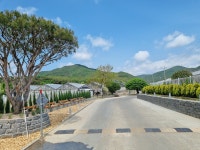 농업회사법인모도리파머스