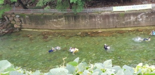 지리산 나무향기펜션