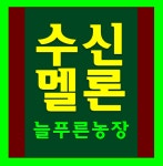 수신메론 늘푸른농장