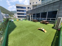 만배네&애견카페&유치원&호텔&놀이방