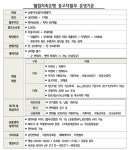 디앤엠