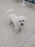 란이네멍살롱