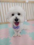 란이네멍살롱