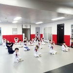 하나용인대태권도