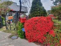 논산솔꽃정원펜션