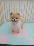 란이네멍살롱