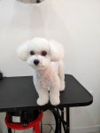 란이네멍살롱