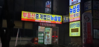 부동산중개법인뉴삼성