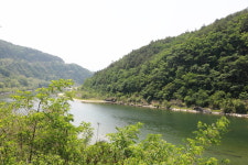 동강의아침