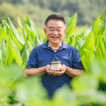황금농장