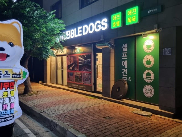버블독스 영암삼호점