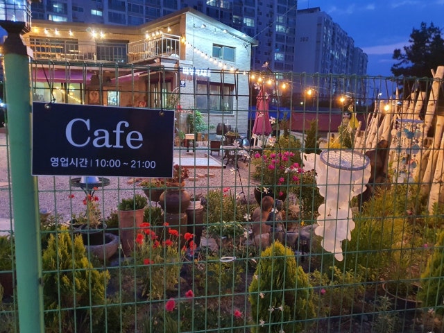 바부각시네뜨락