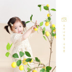 가평 오리나무길사진관