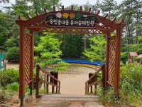 옥림솔내음 유아숲체험원