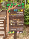 옥림솔내음 유아숲체험원