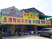 조개박사