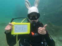 함덕스쿠버 다이빙&서핑&스노클&전동스쿠터