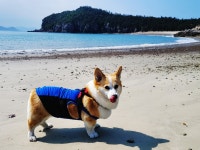관리도길민박