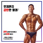 트랜스바디짐 주례점