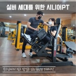 트랜스바디짐 주례점