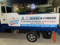 섬산오징어