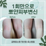 금화효소원 양산점