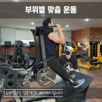 트랜스바디짐 주례점