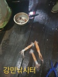 원전강민해상낚시터