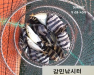 원전강민해상낚시터