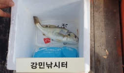 원전강민해상낚시터